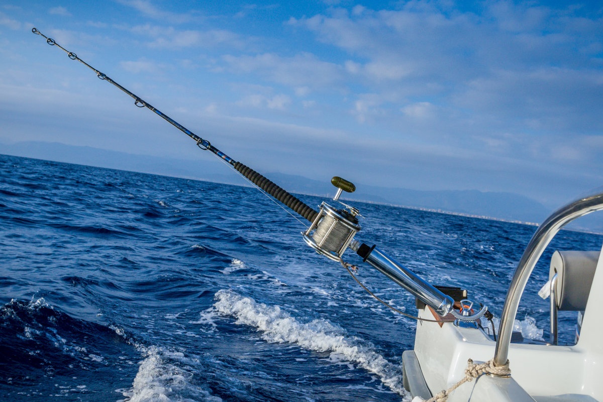 हेवी-ड्यूटी बेस 360-डिग्री एडजस्टेबल रॉड होल्डर